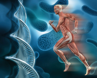 Running DNA muscles.jpg