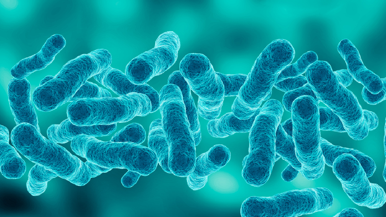 tuberculosis-bacteria-summary