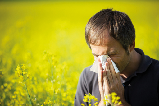 hayfever_man_tissue.jpg