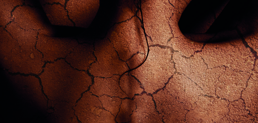 Cracked skin_abstract.jpg